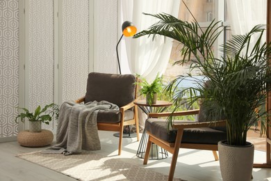 Photo of Indoor terrace interior with stylish furniture and houseplants