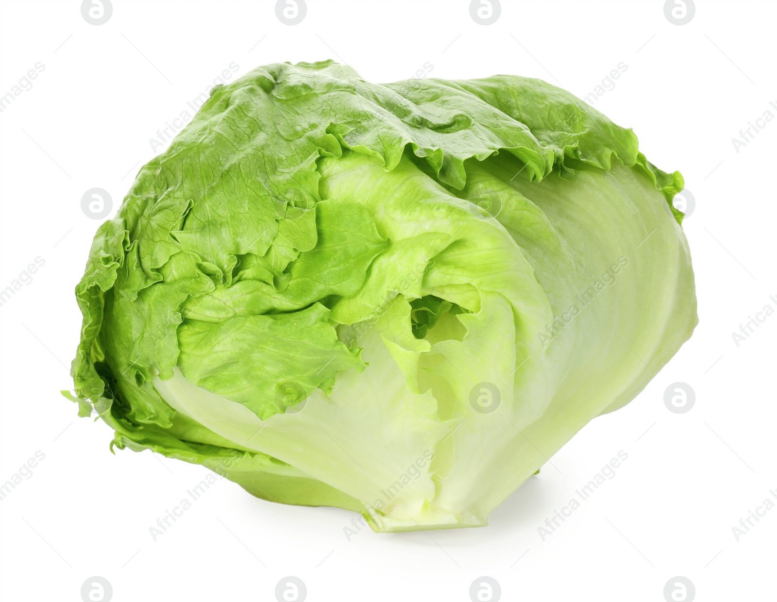 Photo of Fresh green iceberg lettuce isolated on white