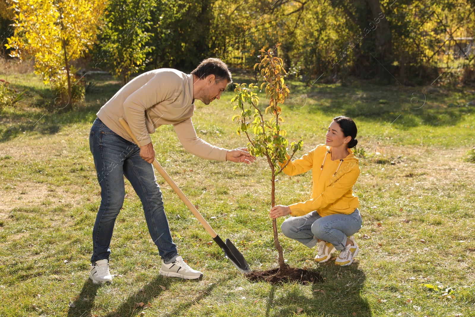 Photo of People planting young tree in park on sunny day