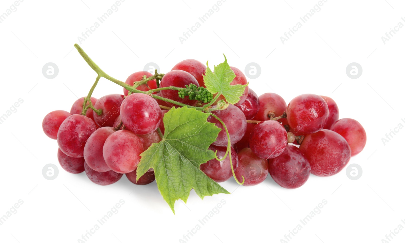 Photo of Cluster of ripe red grapes with green leaves on white background