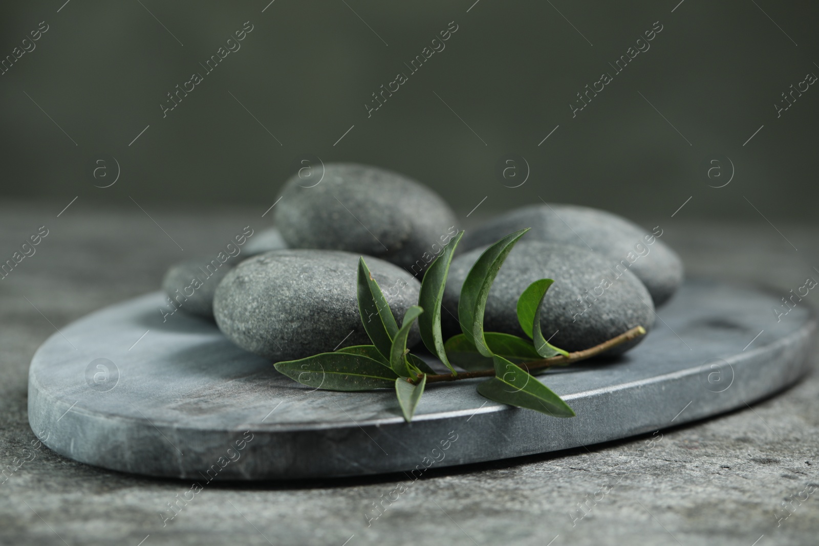 Photo of Spa stones and branch of plant on grey table, closeup