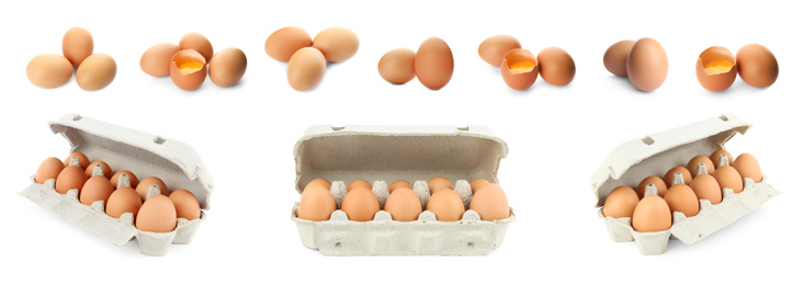 Image of Set of whole and broken eggs on white background, banner design