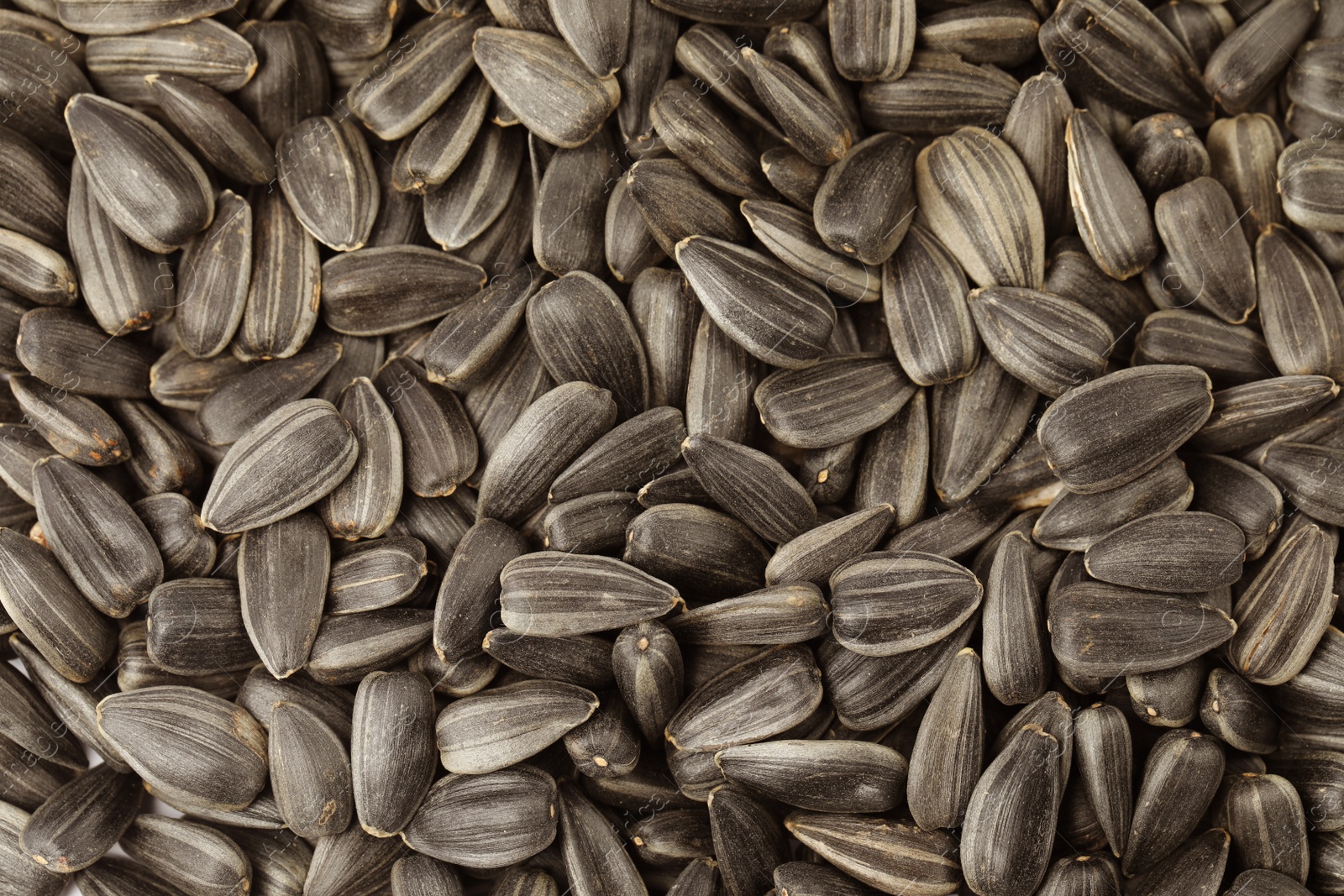 Photo of Raw sunflower seeds as background, top view