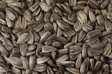 Raw sunflower seeds as background, top view