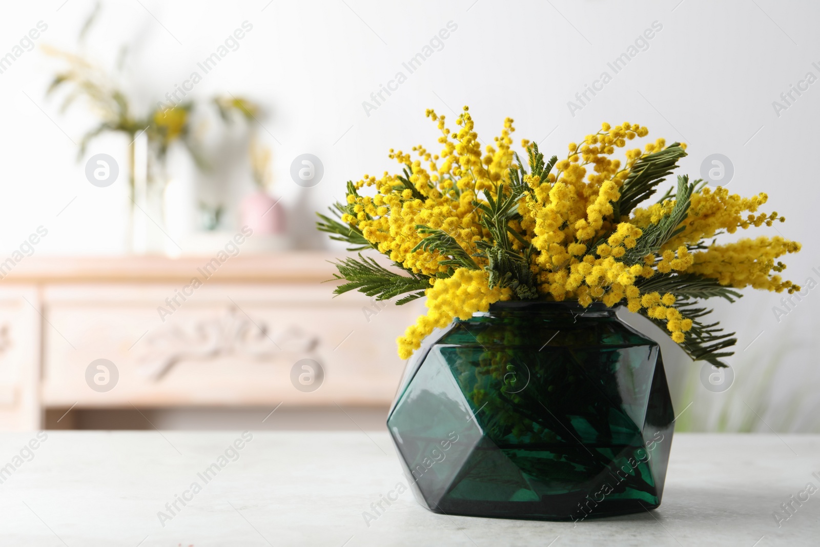 Photo of Beautiful mimosa flowers on white table indoors, space for text