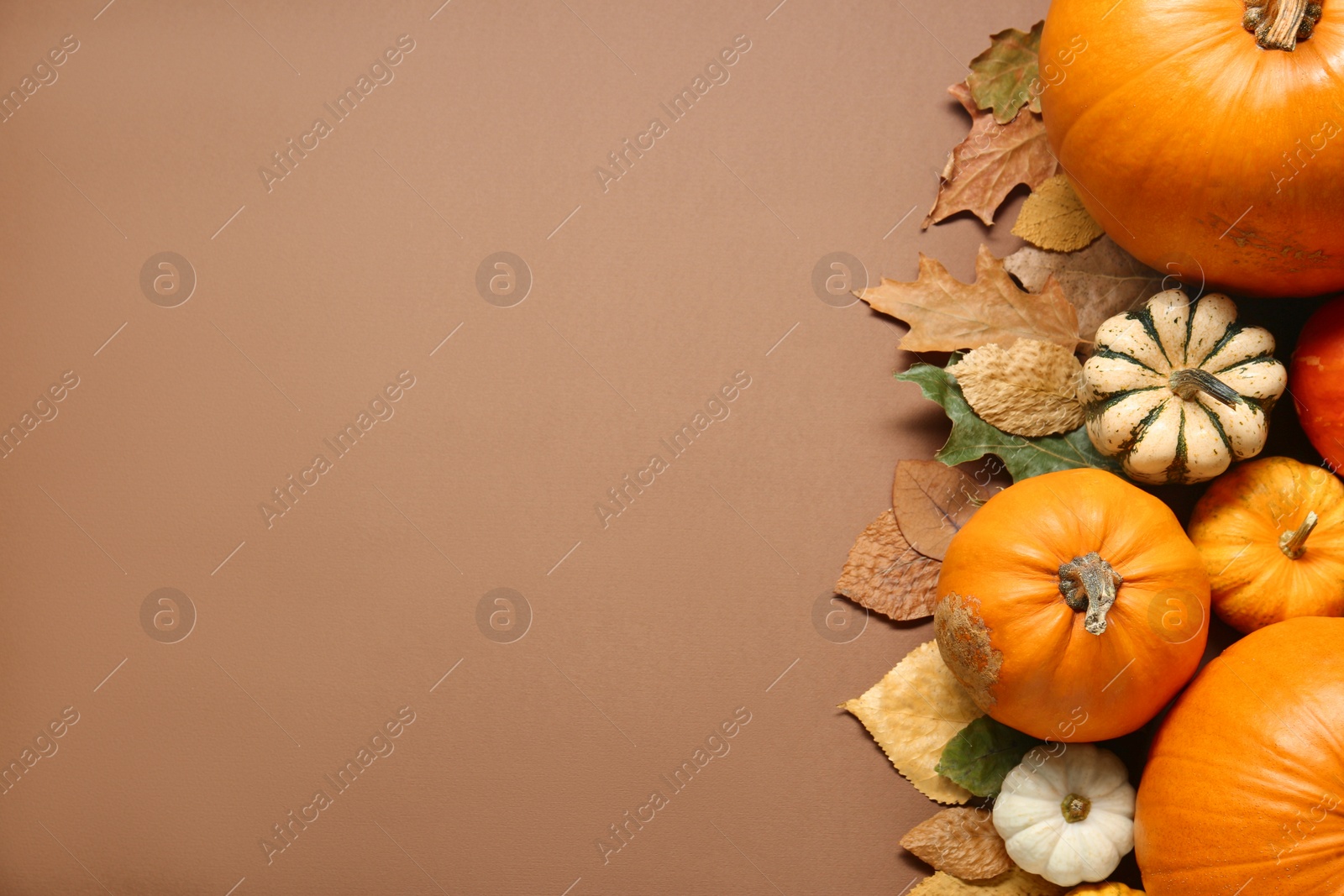 Photo of Thanksgiving day. Flat lay composition with pumpkins and different leaves on light brown background, space for text