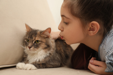 Photo of Cute little girl with cat on sofa at home. First pet