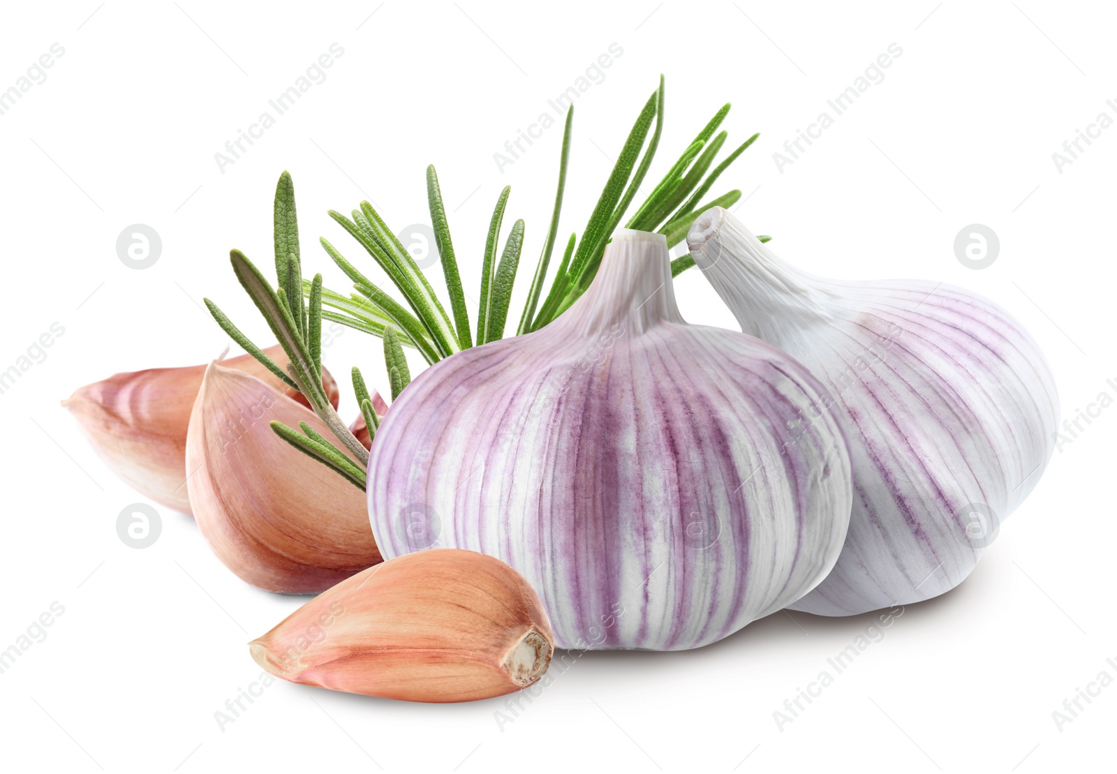 Image of Fresh garlic with rosemary on white background