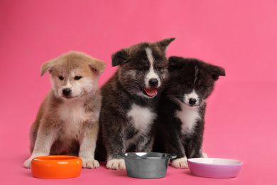 Photo of Cute Akita inu puppies with feeding bowls on pink background. Friendly dogs
