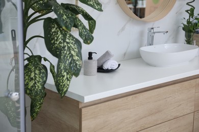 Photo of Stylish vessel sink and houseplants in bathroom. Interior design elements