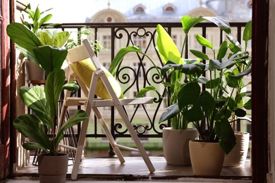 Photo of Relaxing atmosphere. Stylish chair with pillow surrounded by beautiful houseplants on balcony