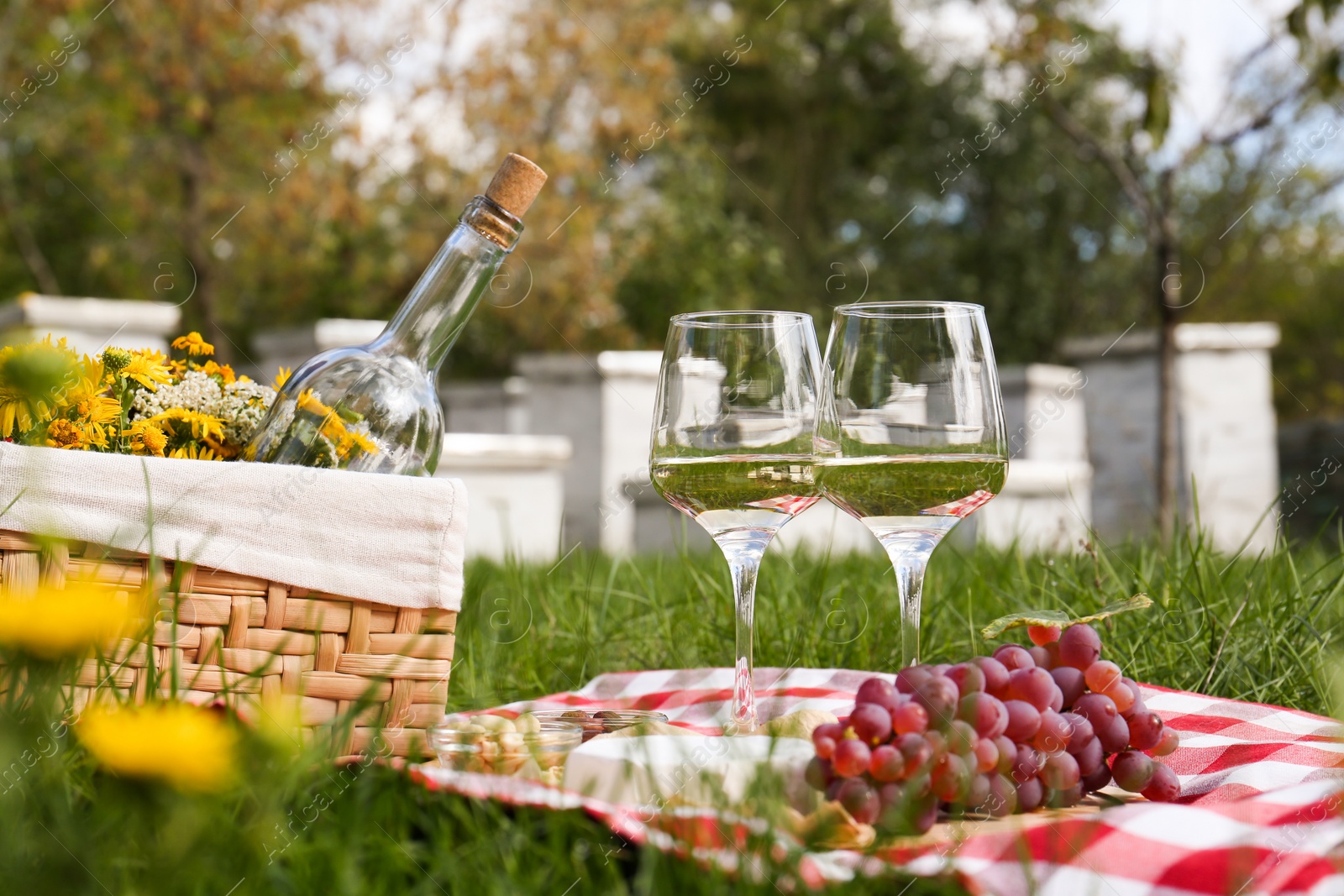 Photo of Glasses of white wine and snacks for picnic served on blanket near apiary