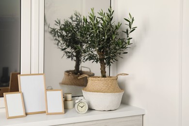 Olive tree in pot and frames on white window sill indoors. Interior design