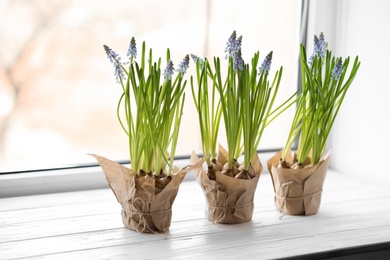 Photo of Beautiful spring muscari flowers in pots on window sill