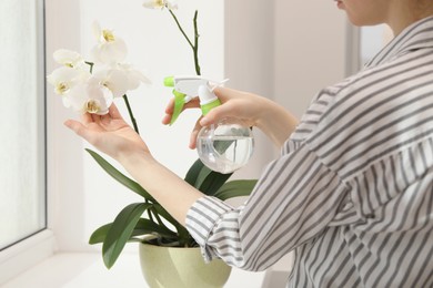 Woman spraying blooming white orchid flowers with water near window, closeup