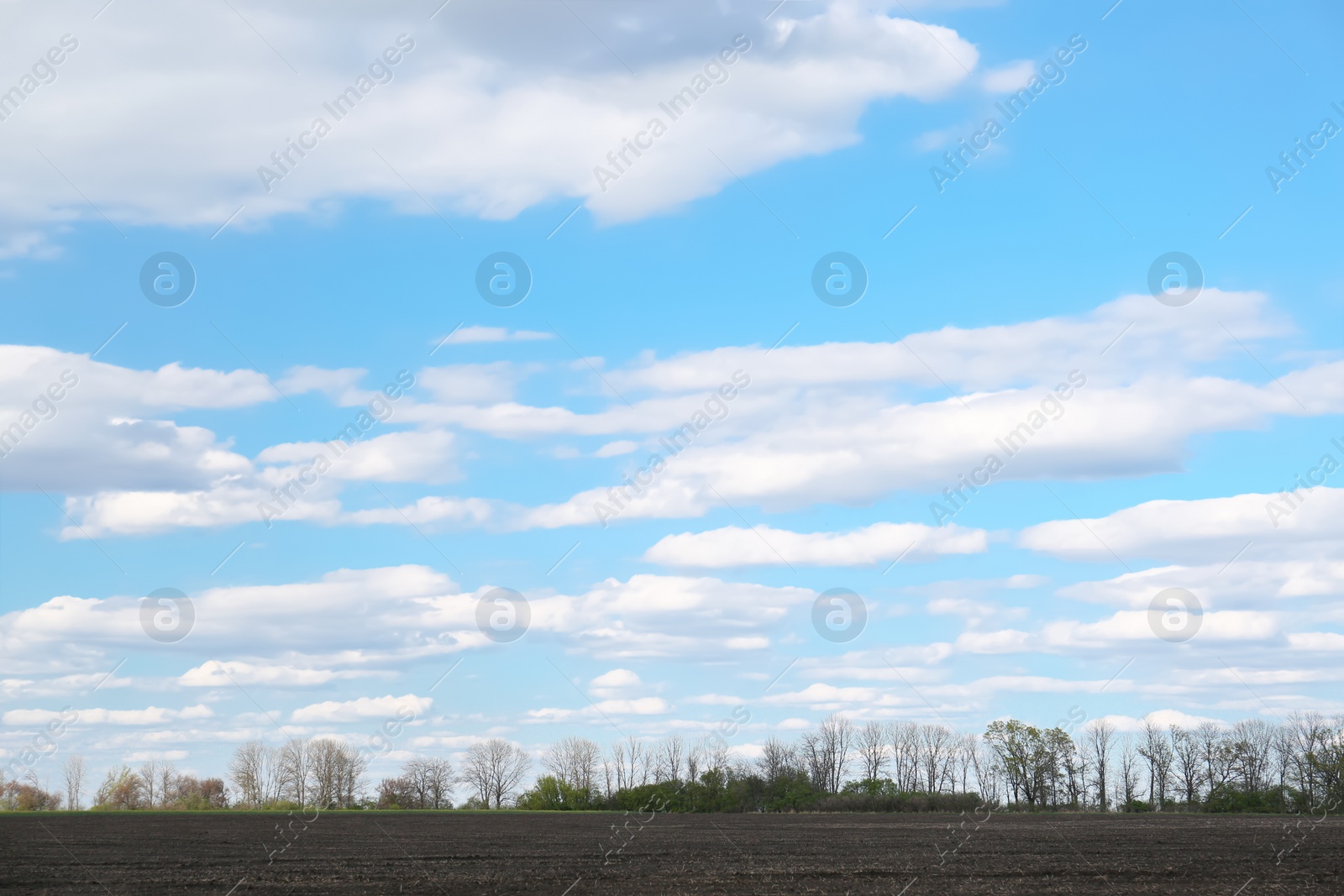 Photo of Picturesque view of agricultural field on cloudy day