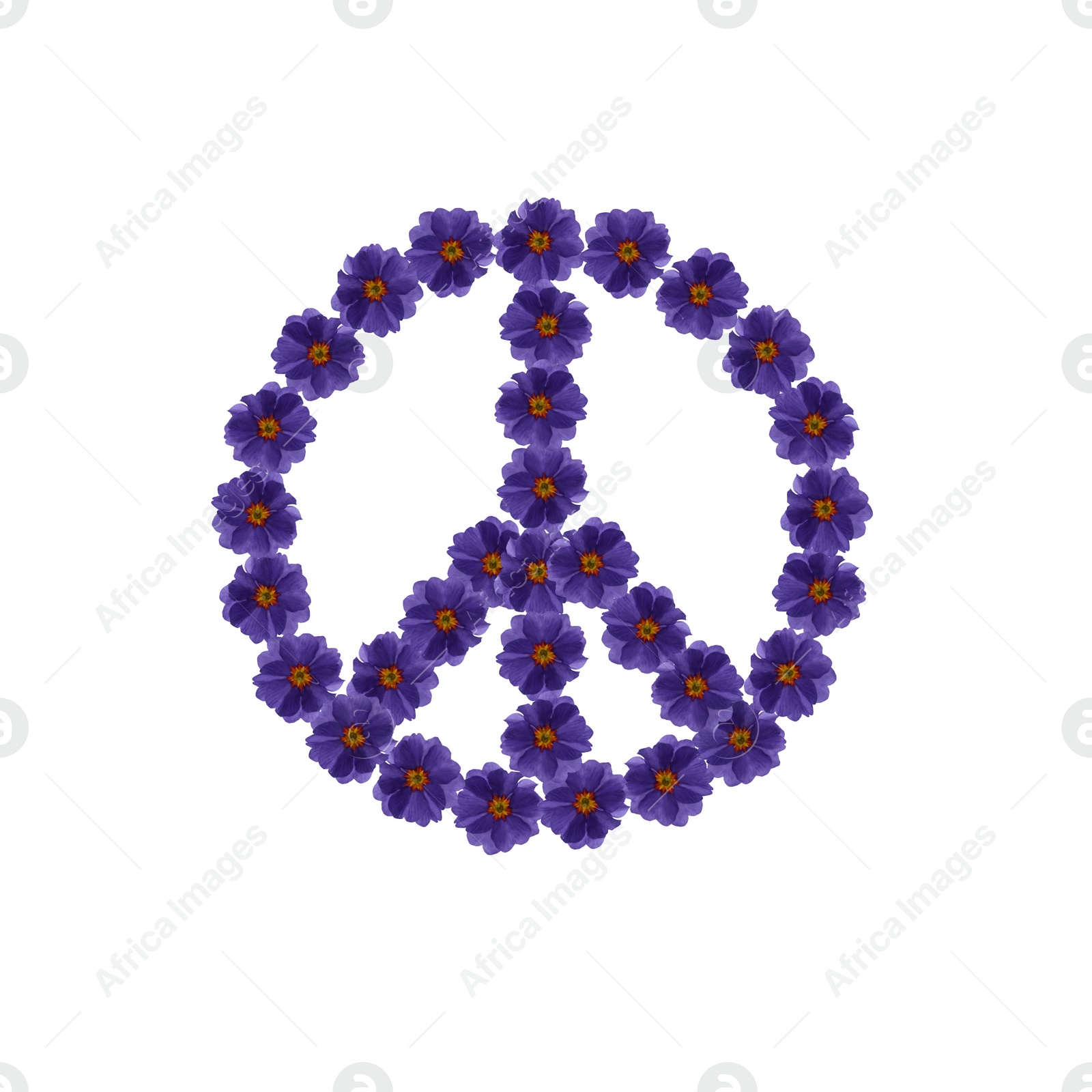 Image of Hippie peace symbol made of purple primula flowers on white background