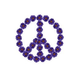 Hippie peace symbol made of purple primula flowers on white background