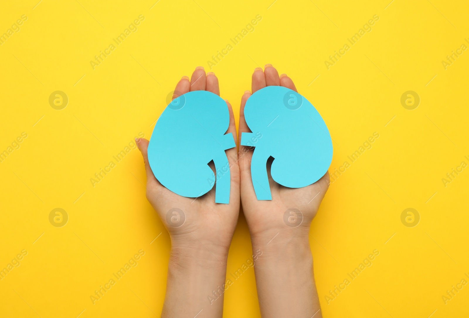 Photo of Woman holding paper cutout of kidneys on yellow background, top view