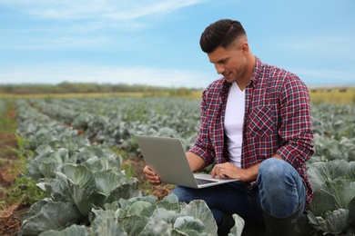 Photo of Man using laptop in field. Agriculture technology