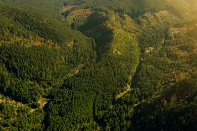 Aerial view of mountains covered with forest on sunny day. Drone photography