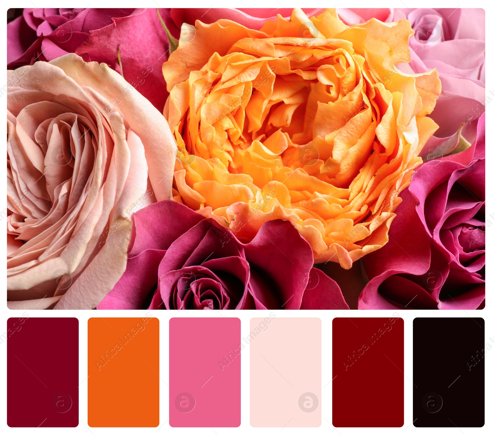 Image of Beautiful fresh flowers and color palette. Collage