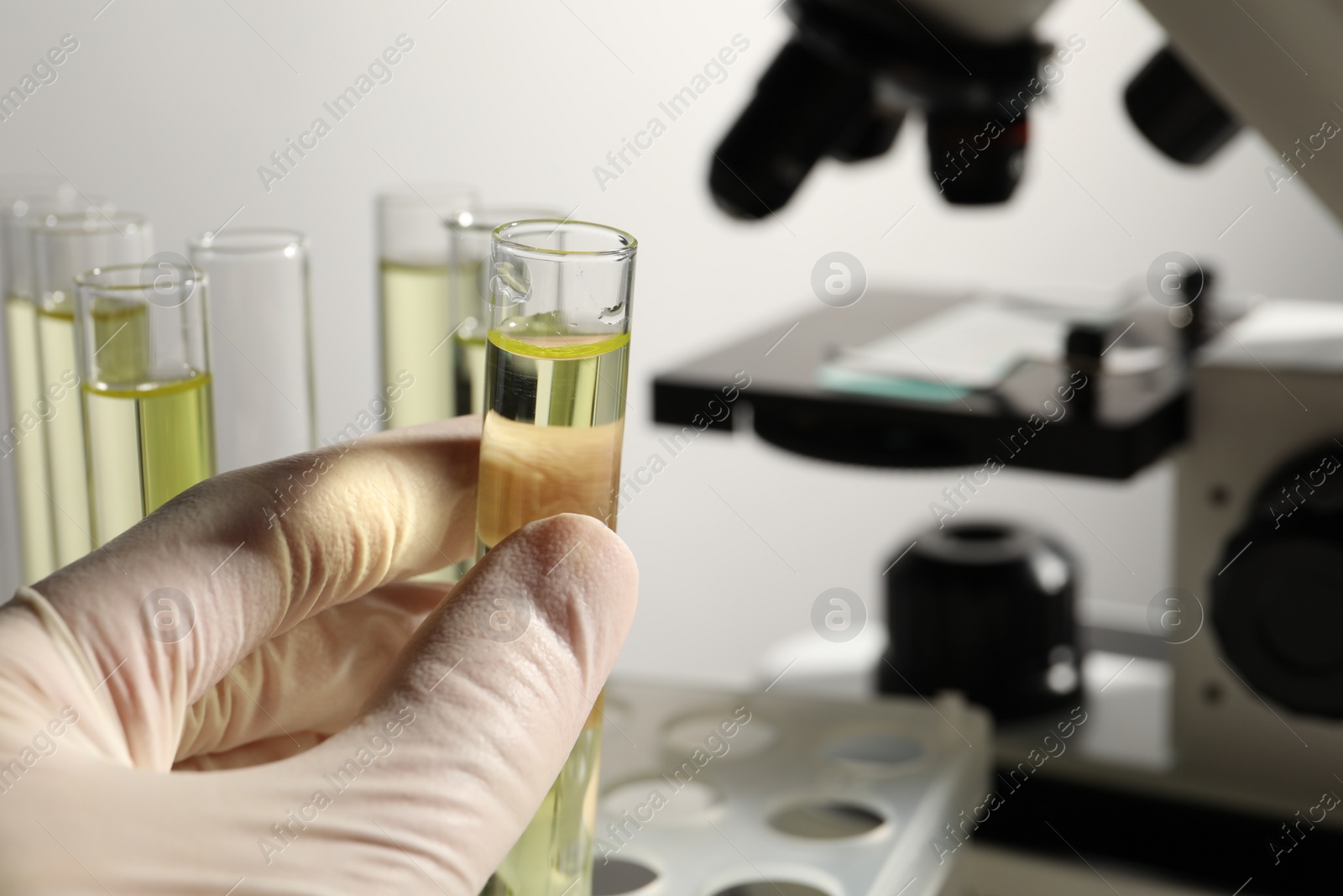 Photo of Doctor holding test tube with urine sample for analysis in laboratory, closeup