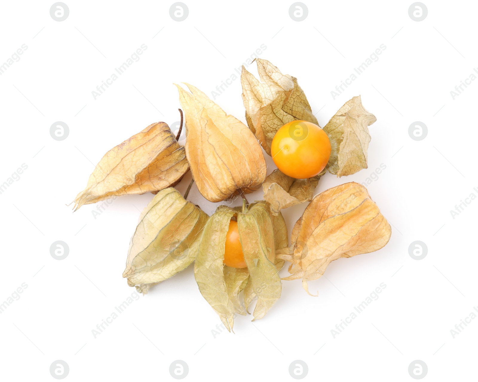 Photo of Many ripe physalis fruits with calyxes isolated on white, top view