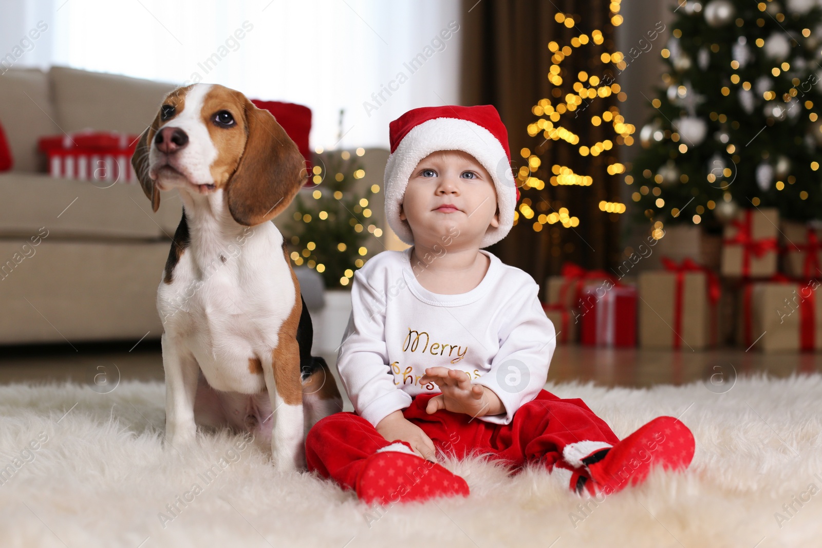 Photo of Baby in Santa hat and cute Beagle dog at home against blurred Christmas lights