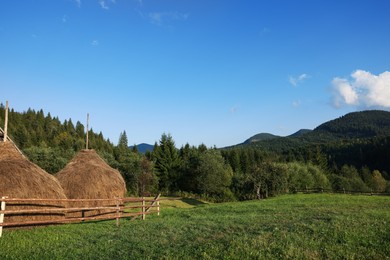 Beautiful view of hay piles on green meadow in mountains