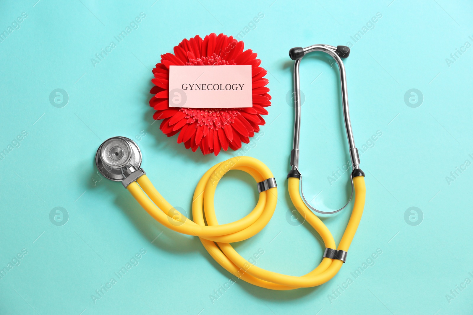 Photo of Stethoscope, red flower and card with word GYNECOLOGY on color background, top view