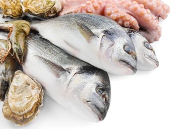Photo of Fresh dorado fish, octopus, oysters and shrimps on white background, closeup