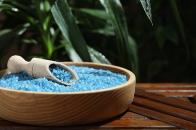 Bowl of blue sea salt with scoop on wooden table, closeup. Space for text