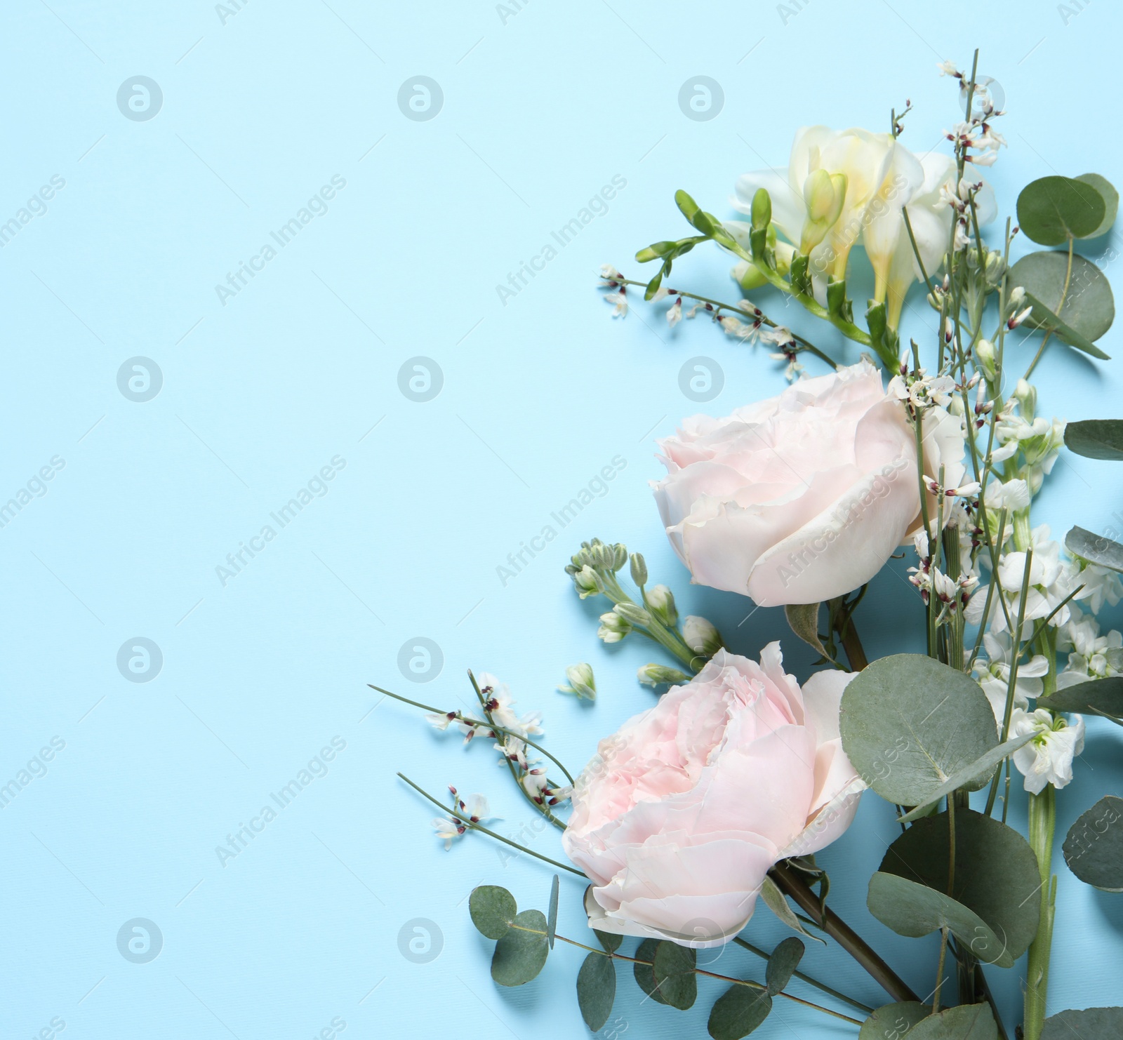 Photo of Different beautiful flowers on light blue background, flat lay. Space for text