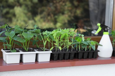 Seedlings growing in plastic containers with soil on windowsill