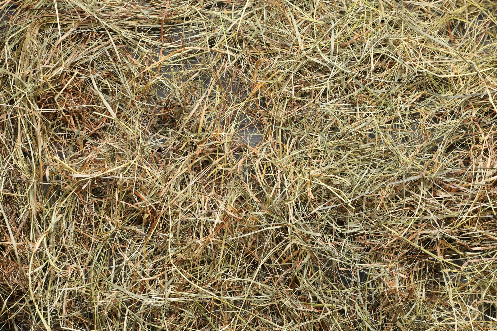 Photo of Pile of dried hay as background, top view