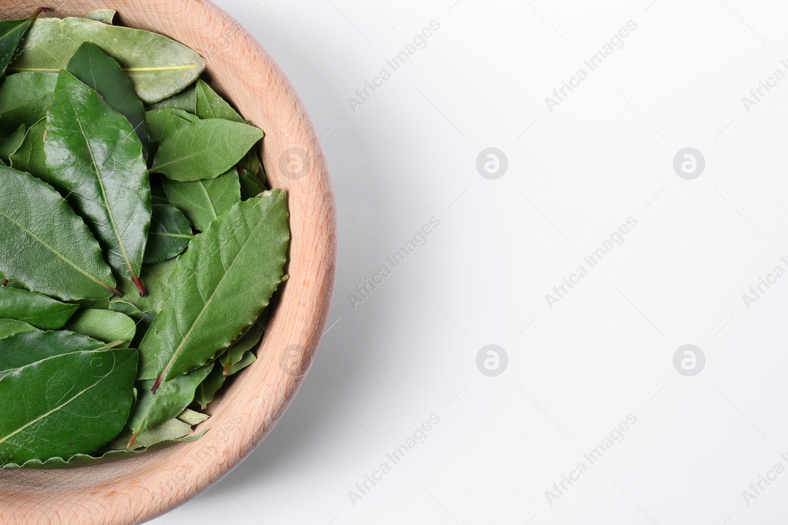 Photo of Bowl with fresh bay leaves on white background, top view. Space for text