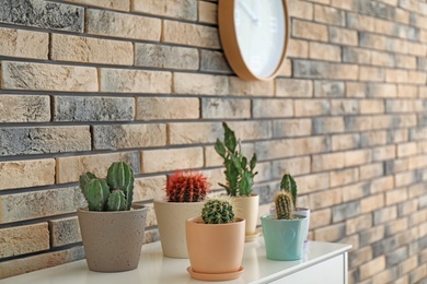 Photo of Beautiful cacti in flowerpots on table near brick wall