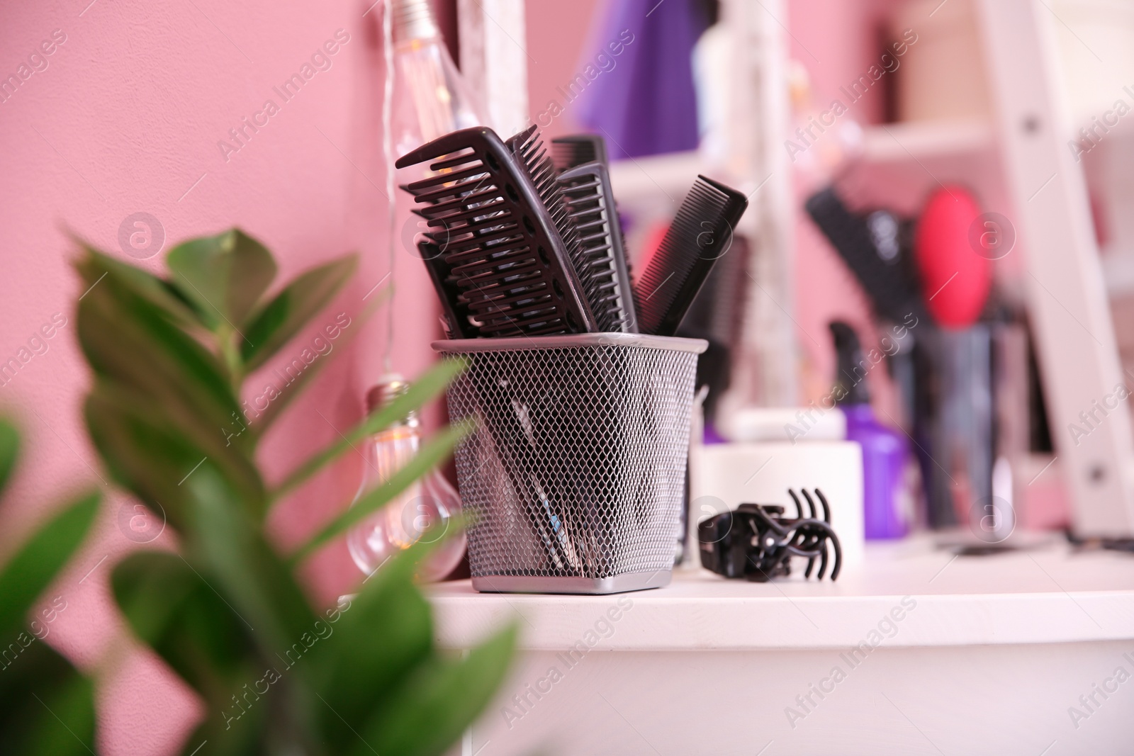 Photo of Holder with different combs at hairdresser's workplace