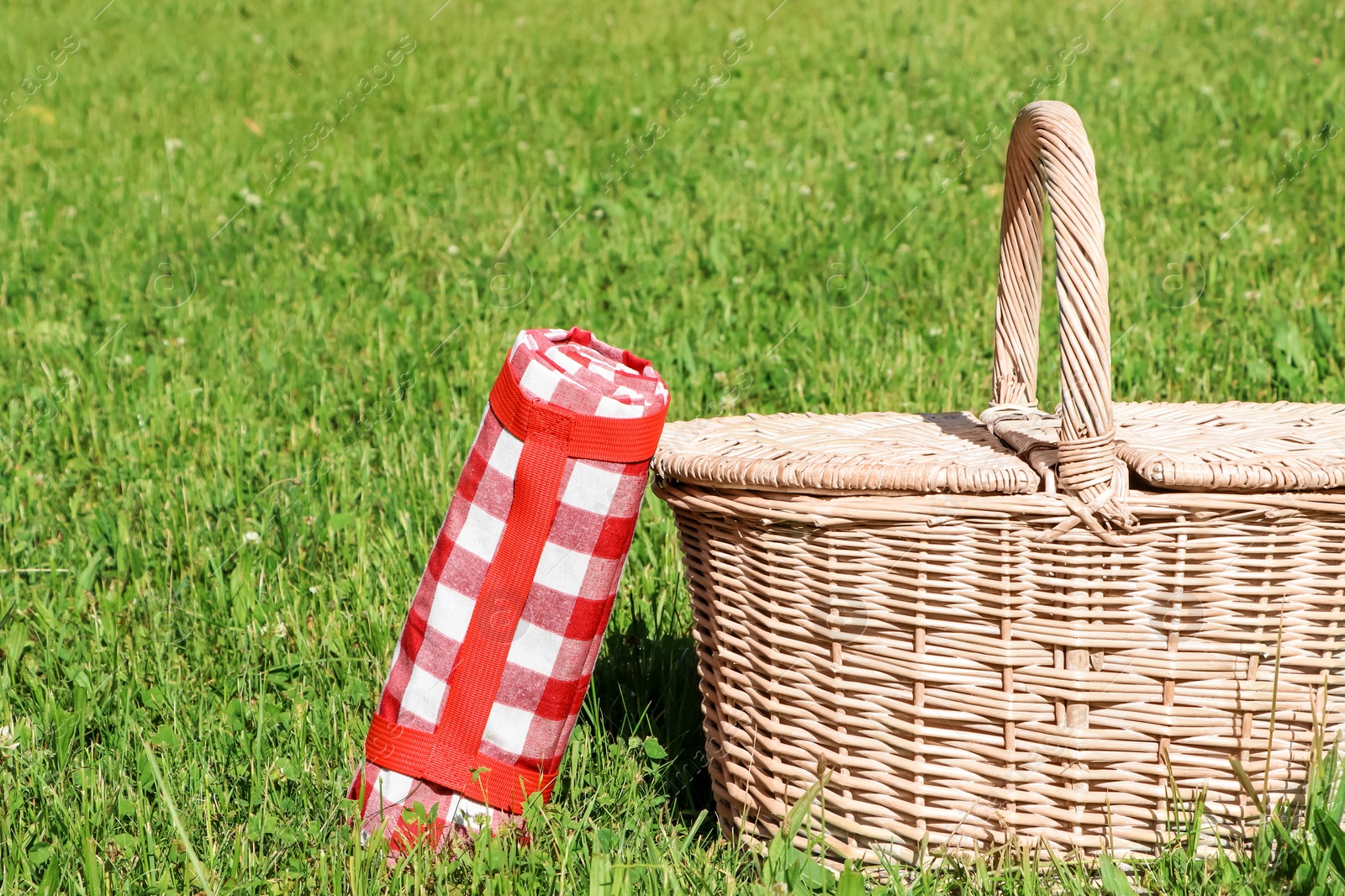 Photo of Rolled checkered tablecloth near picnic basket on green grass outdoors, space for text