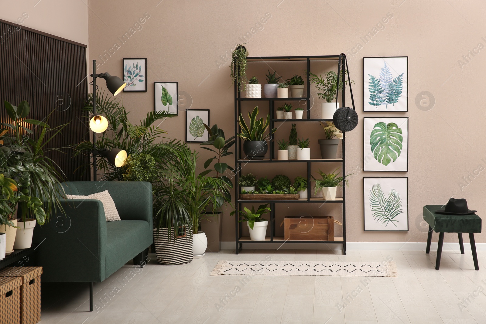 Photo of Stylish living room interior with many beautiful houseplants