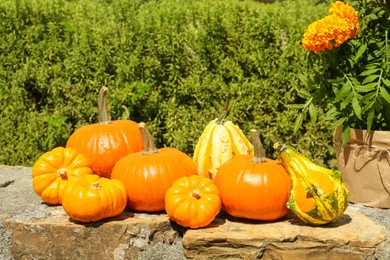 Photo of Ripe orange pumpkins and blooming marigolds on stone surface in garden