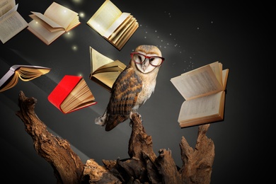 Image of Beautiful wise owl and flying book in fantasy world