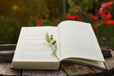 Photo of Open book with spike and chamomile flowers on wooden table outdoors
