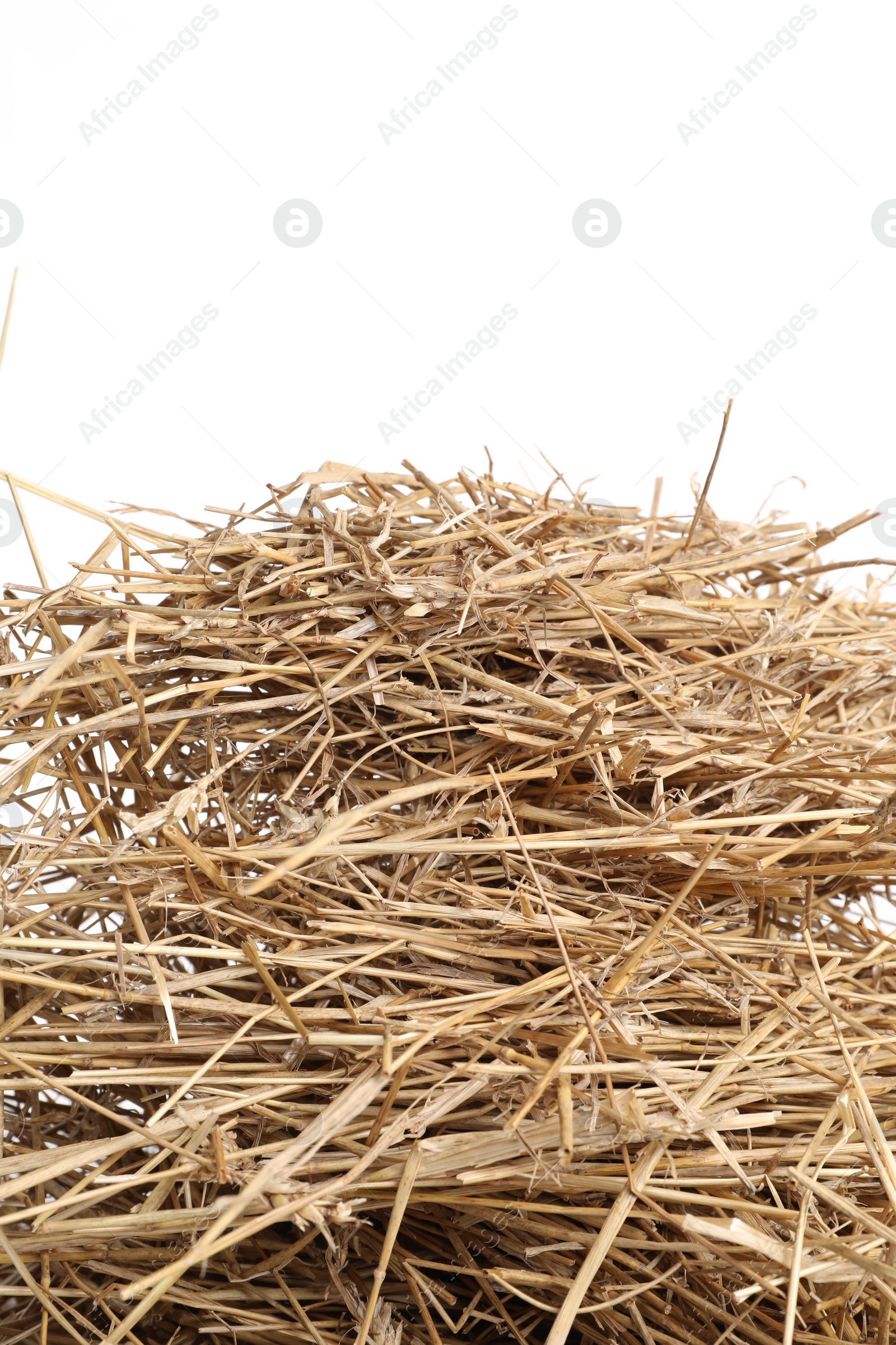 Photo of Dried straw isolated on white. Livestock feed