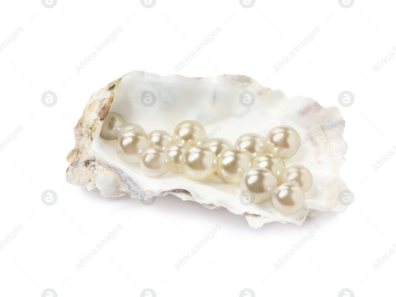 Photo of Oyster shell with pearls on white background