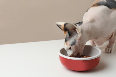 Photo of Cute Sphynx cat eating wet food from feeding bowl on white table, space for text