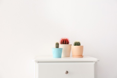 Photo of Beautiful cacti on table against light background