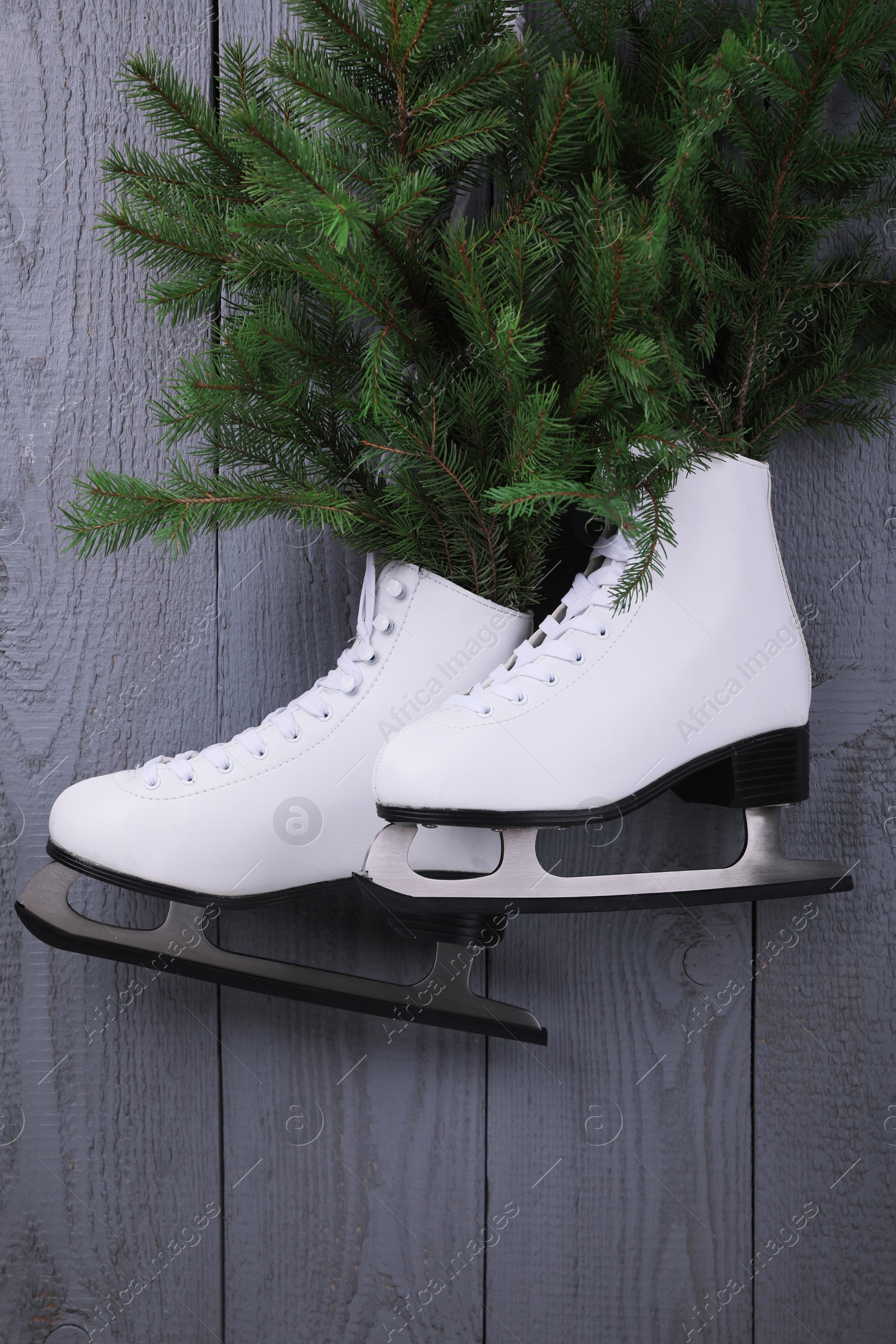 Photo of Pair of ice skates with fir branches hanging on grey wooden wall