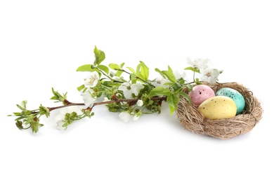 Photo of Painted Easter eggs in nest and blossoming branches on white background